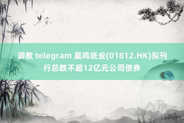 调教 telegram 晨鸣纸业(01812.HK)拟刊行总数不超12亿元公司债券