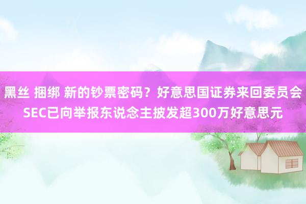 黑丝 捆绑 新的钞票密码？好意思国证券来回委员会SEC已向举报东说念主披发超300万好意思元