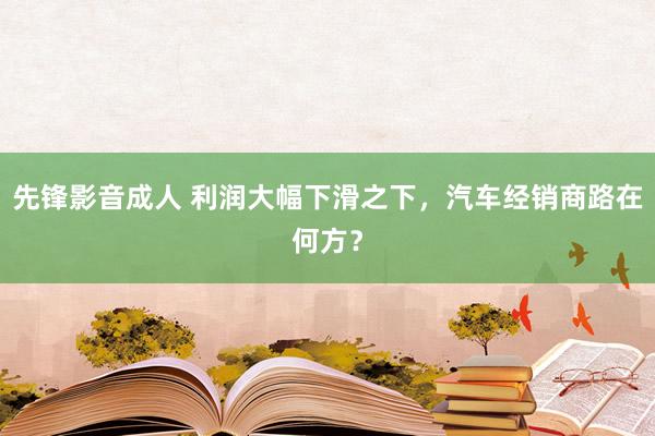 先锋影音成人 利润大幅下滑之下，汽车经销商路在何方？