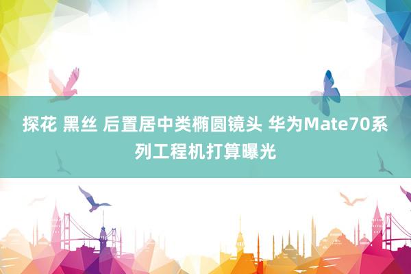 探花 黑丝 后置居中类椭圆镜头 华为Mate70系列工程机打算曝光