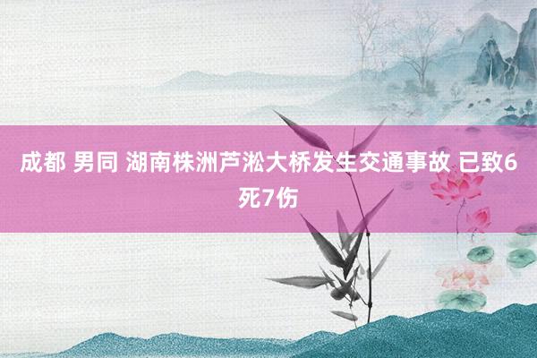 成都 男同 湖南株洲芦淞大桥发生交通事故 已致6死7伤