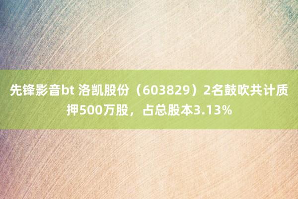 先锋影音bt 洛凯股份（603829）2名鼓吹共计质押500万股，占总股本3.13%