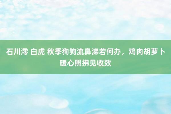 石川澪 白虎 秋季狗狗流鼻涕若何办，鸡肉胡萝卜暖心照拂见收效