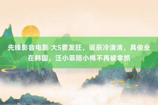 先锋影音电影 大S要发狂，诞辰冷清清，具俊业在韩国，汪小菲陪小梅不再被拿抓