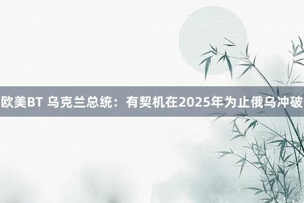 欧美BT 乌克兰总统：有契机在2025年为止俄乌冲破