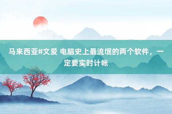 马来西亚#文爱 电脑史上最流氓的两个软件，一定要实时计帐