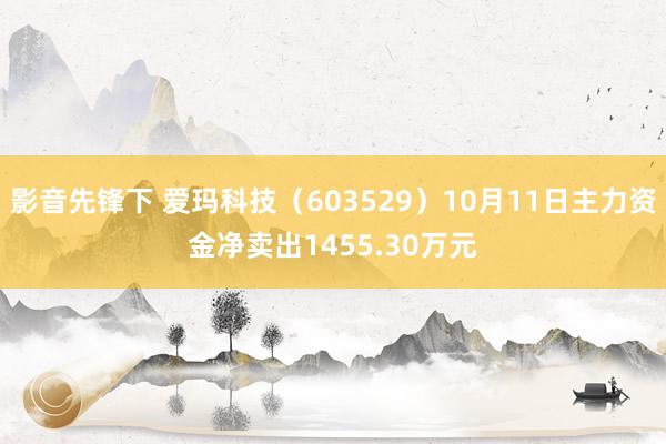 影音先锋下 爱玛科技（603529）10月11日主力资金净卖出1455.30万元