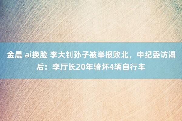 金晨 ai换脸 李大钊孙子被举报败北，中纪委访谒后：李厅长20年骑坏4辆自行车