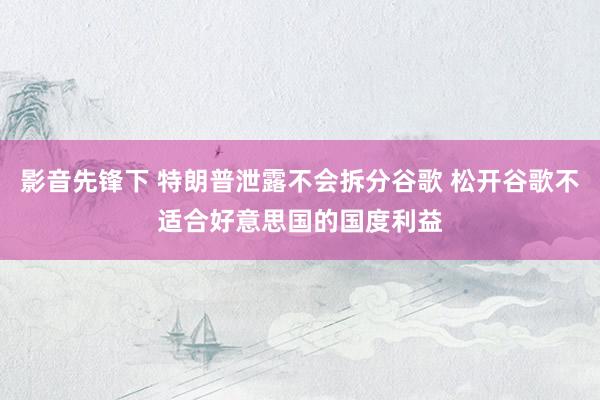 影音先锋下 特朗普泄露不会拆分谷歌 松开谷歌不适合好意思国的国度利益