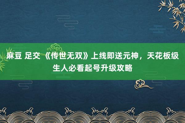 麻豆 足交 《传世无双》上线即送元神，天花板级生人必看起号升级攻略