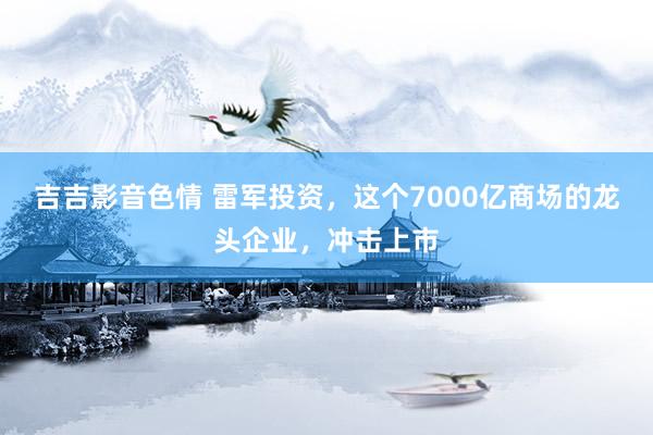 吉吉影音色情 雷军投资，这个7000亿商场的龙头企业，冲击上市