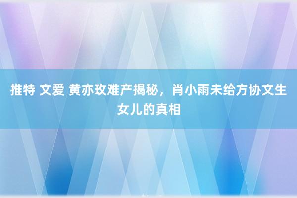 推特 文爱 黄亦玫难产揭秘，肖小雨未给方协文生女儿的真相