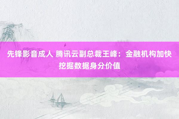 先锋影音成人 腾讯云副总裁王峰：金融机构加快挖掘数据身分价值