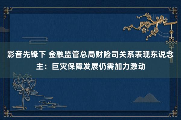 影音先锋下 金融监管总局财险司关系表现东说念主：巨灾保障发展仍需加力激动