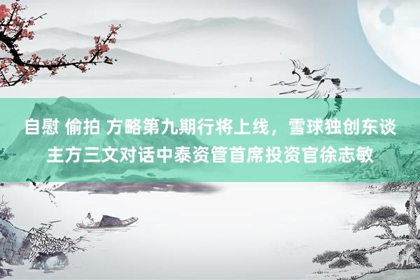 自慰 偷拍 方略第九期行将上线，雪球独创东谈主方三文对话中泰资管首席投资官徐志敏