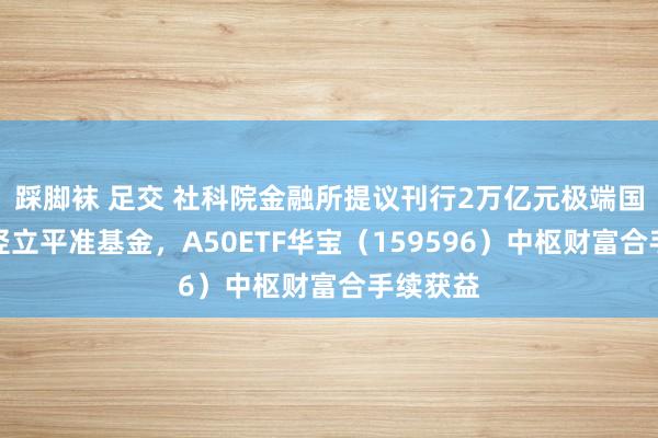 踩脚袜 足交 社科院金融所提议刊行2万亿元极端国债支柱竖立平准基金，A50ETF华宝（159596）中枢财富合手续获益