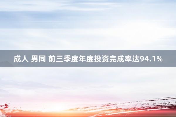 成人 男同 前三季度年度投资完成率达94.1%