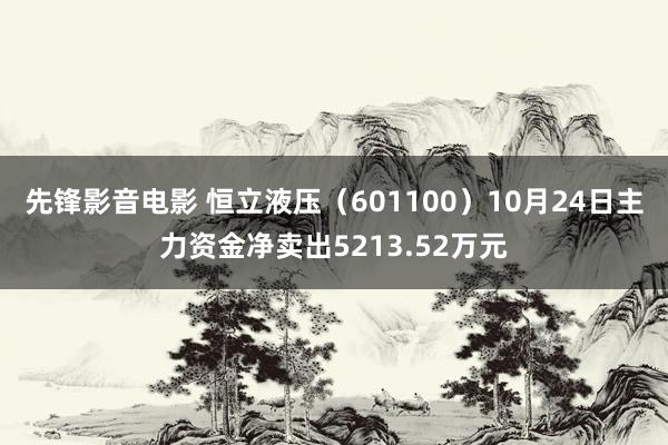 先锋影音电影 恒立液压（601100）10月24日主力资金净卖出5213.52万元