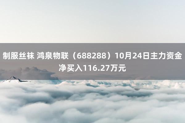 制服丝袜 鸿泉物联（688288）10月24日主力资金净买入116.27万元