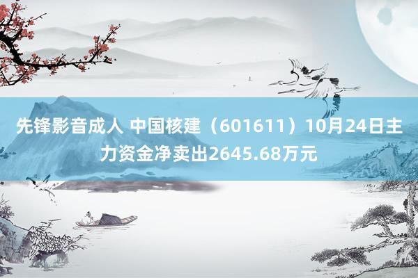 先锋影音成人 中国核建（601611）10月24日主力资金净卖出2645.68万元