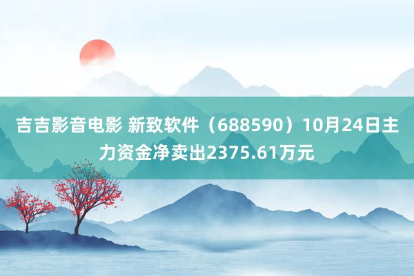 吉吉影音电影 新致软件（688590）10月24日主力资金净卖出2375.61万元