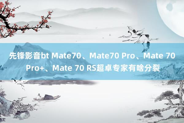 先锋影音bt Mate70、Mate70 Pro、Mate 70 Pro+、Mate 70 RS超卓专家有啥分裂