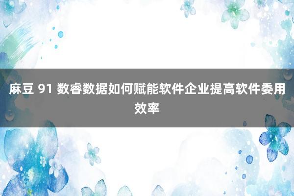 麻豆 91 数睿数据如何赋能软件企业提高软件委用效率