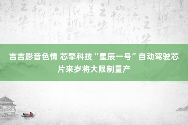 吉吉影音色情 芯擎科技“星辰一号”自动驾驶芯片来岁将大限制量产