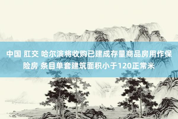 中国 肛交 哈尔滨将收购已建成存量商品房用作保险房 条目单套建筑面积小于120正常米