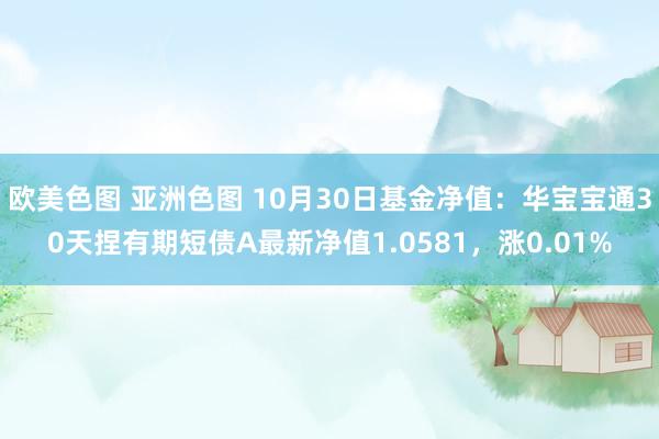 欧美色图 亚洲色图 10月30日基金净值：华宝宝通30天捏有期短债A最新净值1.0581，涨0.01%