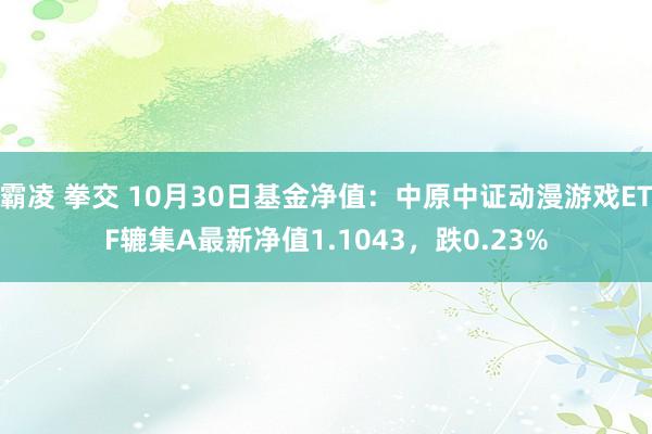 霸凌 拳交 10月30日基金净值：中原中证动漫游戏ETF辘集A最新净值1.1043，跌0.23%