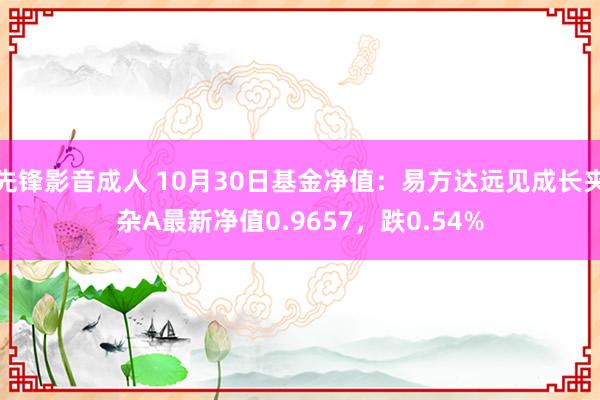 先锋影音成人 10月30日基金净值：易方达远见成长夹杂A最新净值0.9657，跌0.54%