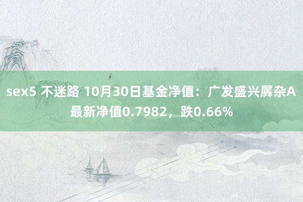 sex5 不迷路 10月30日基金净值：广发盛兴羼杂A最新净值0.7982，跌0.66%