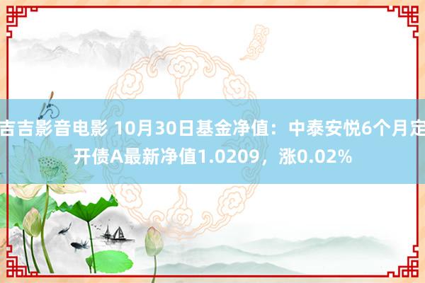 吉吉影音电影 10月30日基金净值：中泰安悦6个月定开债A最新净值1.0209，涨0.02%