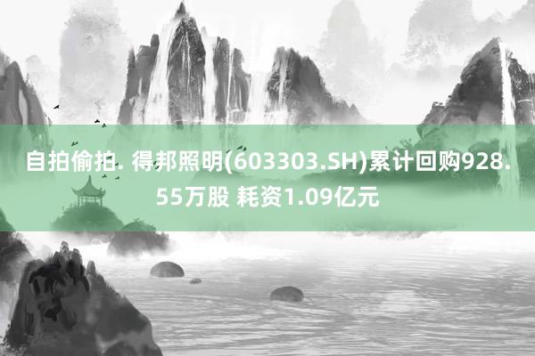 自拍偷拍. 得邦照明(603303.SH)累计回购928.55万股 耗资1.09亿元