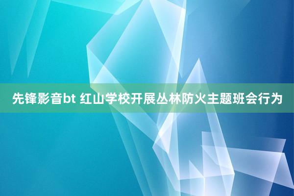 先锋影音bt 红山学校开展丛林防火主题班会行为