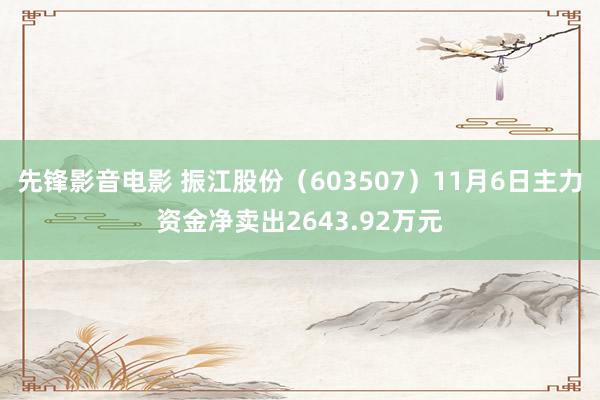 先锋影音电影 振江股份（603507）11月6日主力资金净卖出2643.92万元