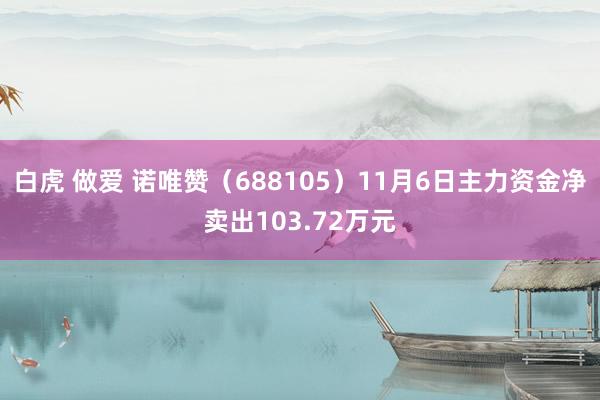 白虎 做爱 诺唯赞（688105）11月6日主力资金净卖出103.72万元