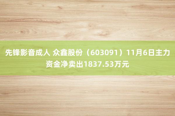 先锋影音成人 众鑫股份（603091）11月6日主力资金净卖出1837.53万元