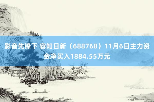 影音先锋下 容知日新（688768）11月6日主力资金净买入1884.55万元