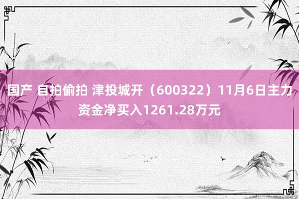 国产 自拍偷拍 津投城开（600322）11月6日主力资金净买入1261.28万元