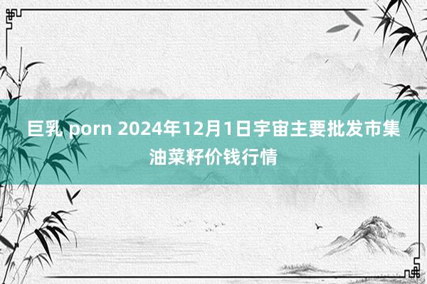 巨乳 porn 2024年12月1日宇宙主要批发市集油菜籽价钱行情