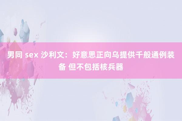 男同 sex 沙利文：好意思正向乌提供千般通例装备 但不包括核兵器