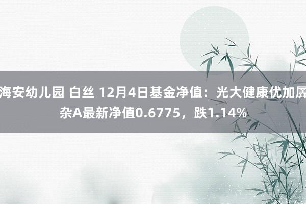 海安幼儿园 白丝 12月4日基金净值：光大健康优加羼杂A最新净值0.6775，跌1.14%