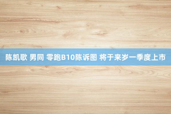 陈凯歌 男同 零跑B10陈诉图 将于来岁一季度上市