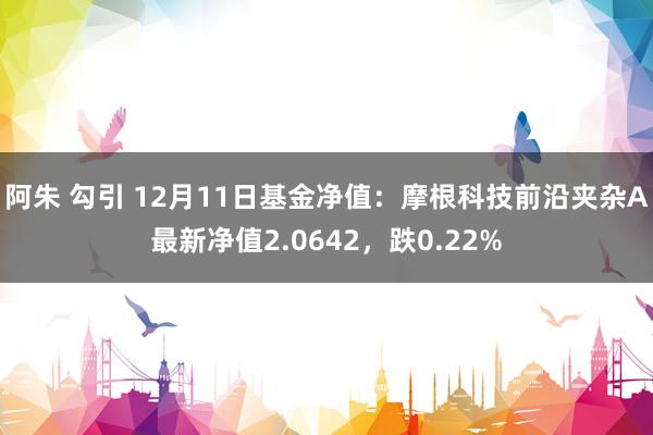 阿朱 勾引 12月11日基金净值：摩根科技前沿夹杂A最新净值2.0642，跌0.22%