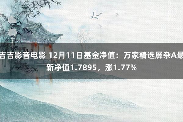 吉吉影音电影 12月11日基金净值：万家精选羼杂A最新净值1.7895，涨1.77%