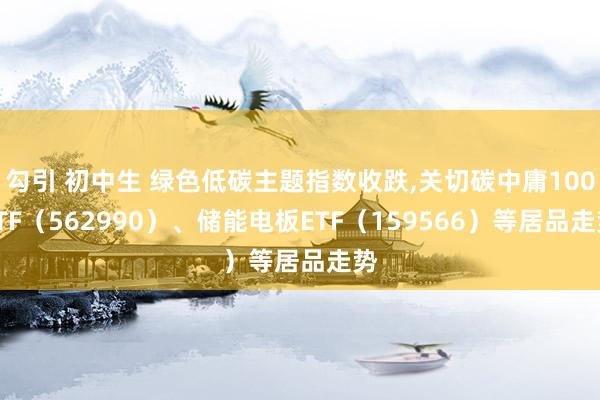 勾引 初中生 绿色低碳主题指数收跌，关切碳中庸100ETF（562990）、储能电板ETF（159566）等居品走势