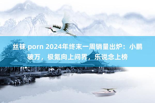 丝袜 porn 2024年终末一周销量出炉：小鹏破万，极氪向上问界，乐说念上榜