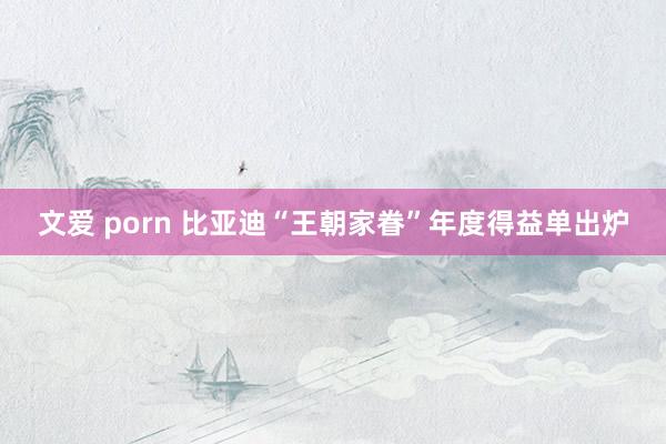 文爱 porn 比亚迪“王朝家眷”年度得益单出炉